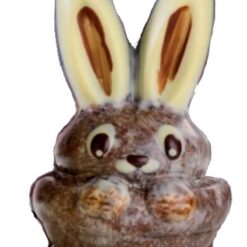Moule chocolat Lapin caché 120 mm