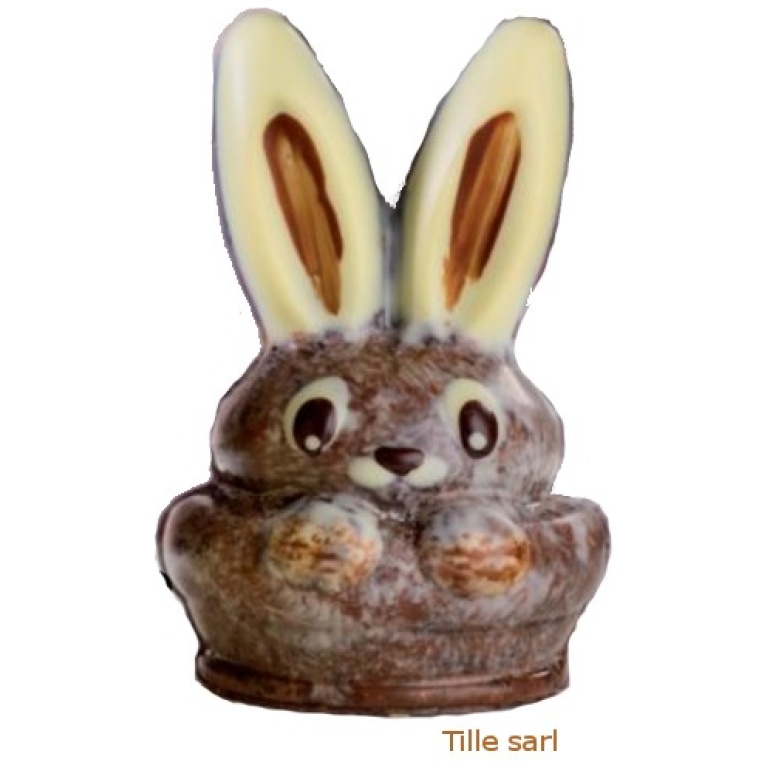 Moule chocolat Lapin caché 120 mm