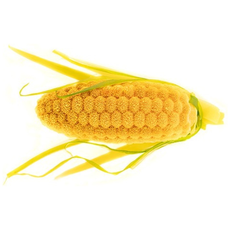 Moule Pannocchia20