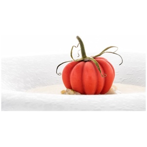 Moule pomodoro24