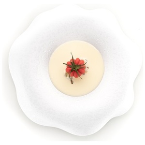 Moule pomodoro24