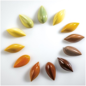 Moule chocolat Praline Floraison Polycarbonate