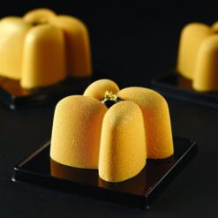 Moule silicone 24 Hélices Pavoflex