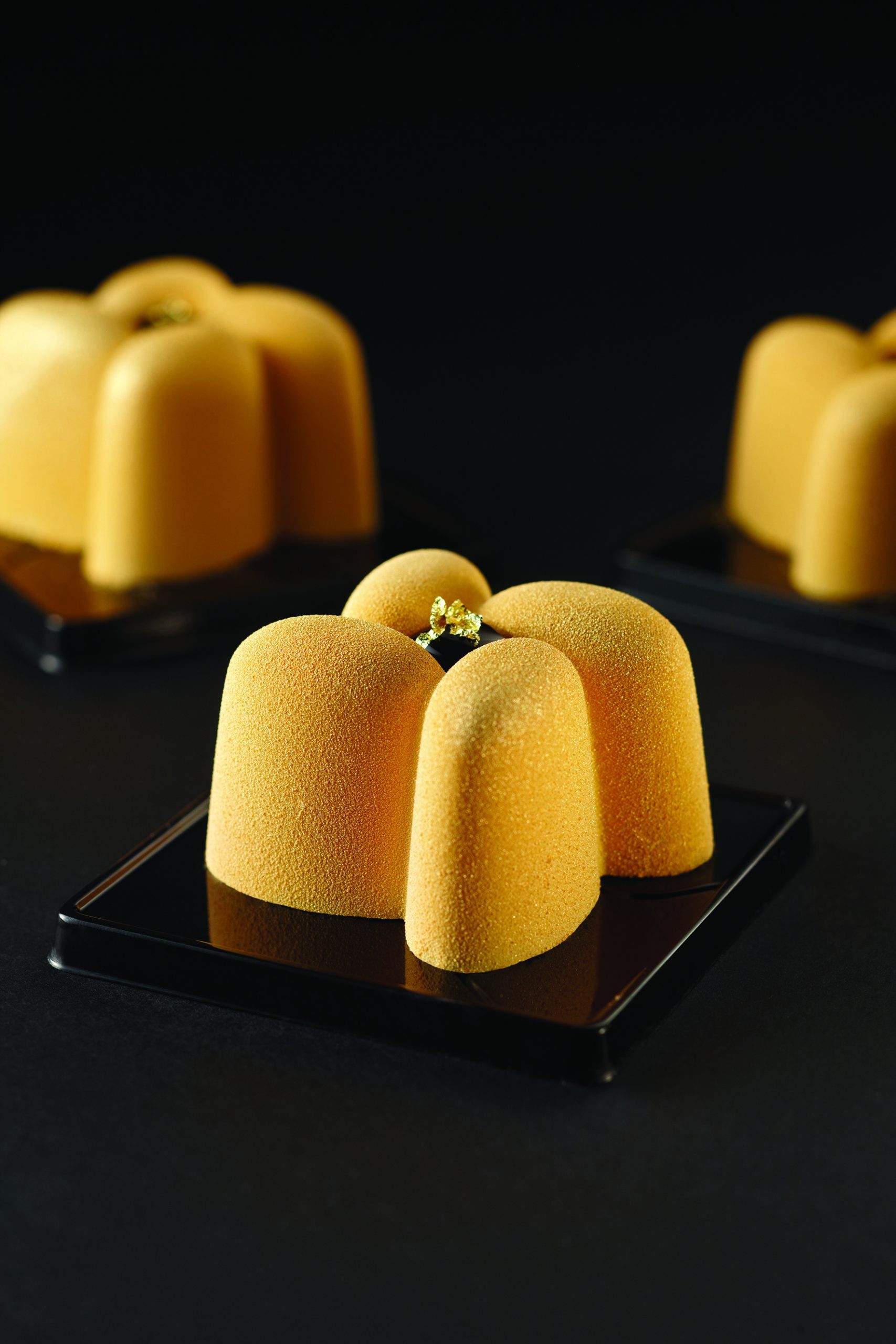 Moule silicone 24 Hélices Pavoflex