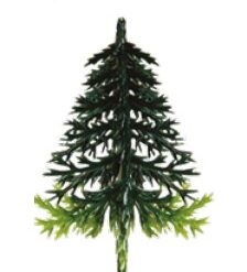 Sapin boite de 144pcs
