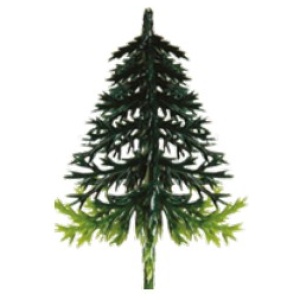 Sapin boite de 144pcs