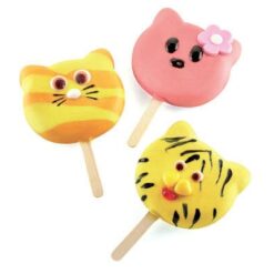 Moule à glace Chat