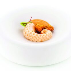 Moule silicone Polpo 20