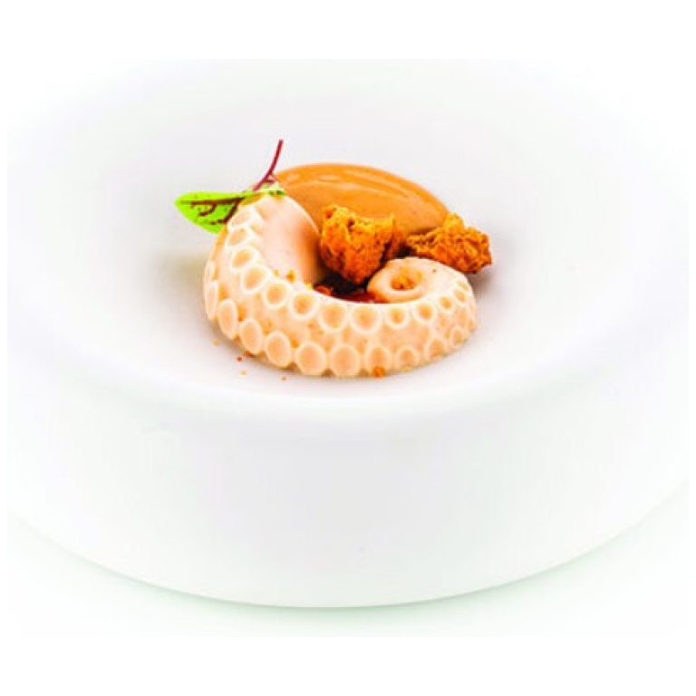 Moule silicone Polpo 20