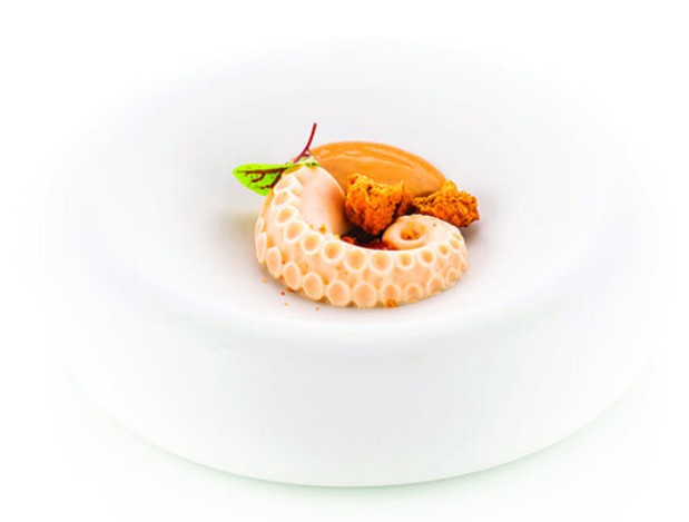 Moule silicone Polpo 20