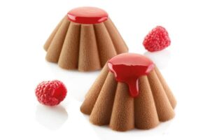 Flex Pro 24 Briochettes