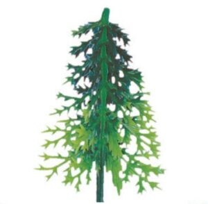 Sapin volume