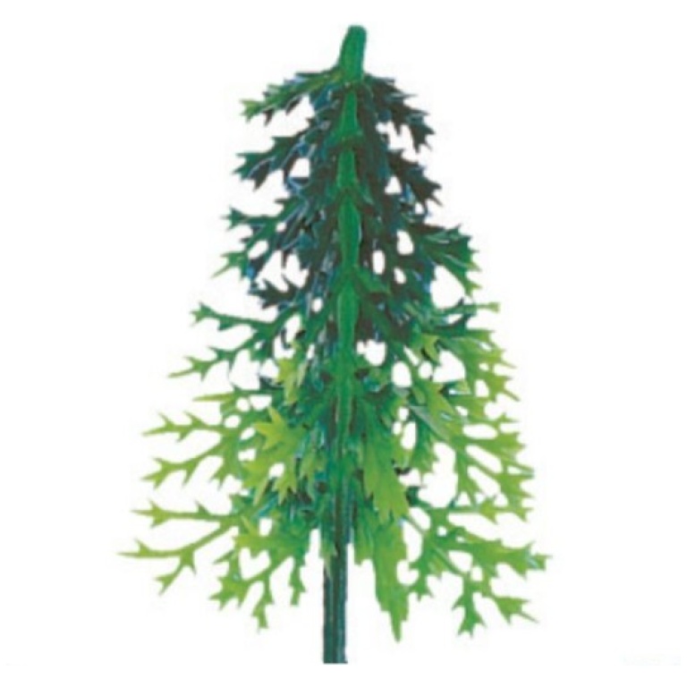 Sapin volume