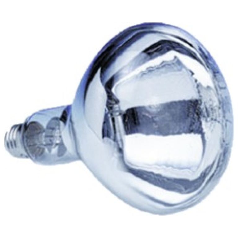 Ampoule à vis 375watts