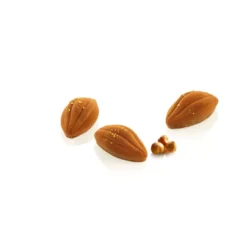 Moule silicone cabosses de cacao xs