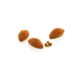 Moule silicone cabosses de cacao xs