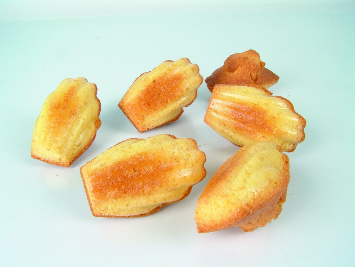 Flex Pro 44 Madeleines