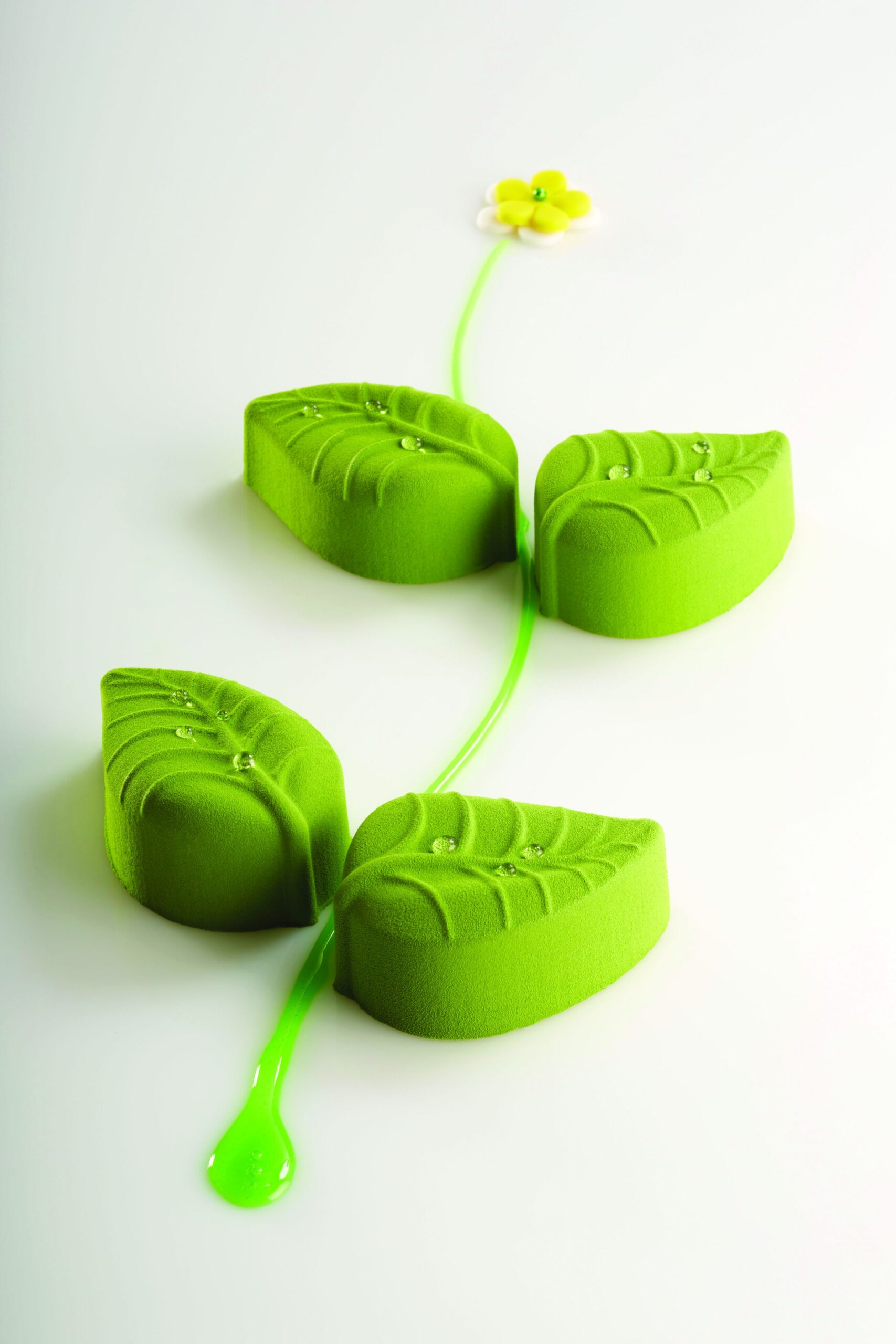 Flex Pro 24 Feuilles "Pavoflex"