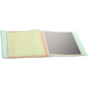 Carnet feuille d'argent