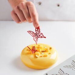 MOULE EN SILICONE PAPILLONS PM 40X39X2 GG051 MYTILLE PAVONI