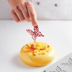 MOULE EN SILICONE PAPILLONS PM 40X39X2 GG051 MYTILLE PAVONI
