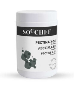 Pectine X-58 en pot 800 g – Gélifiant pour milieu lactique PECTX58800 Tille