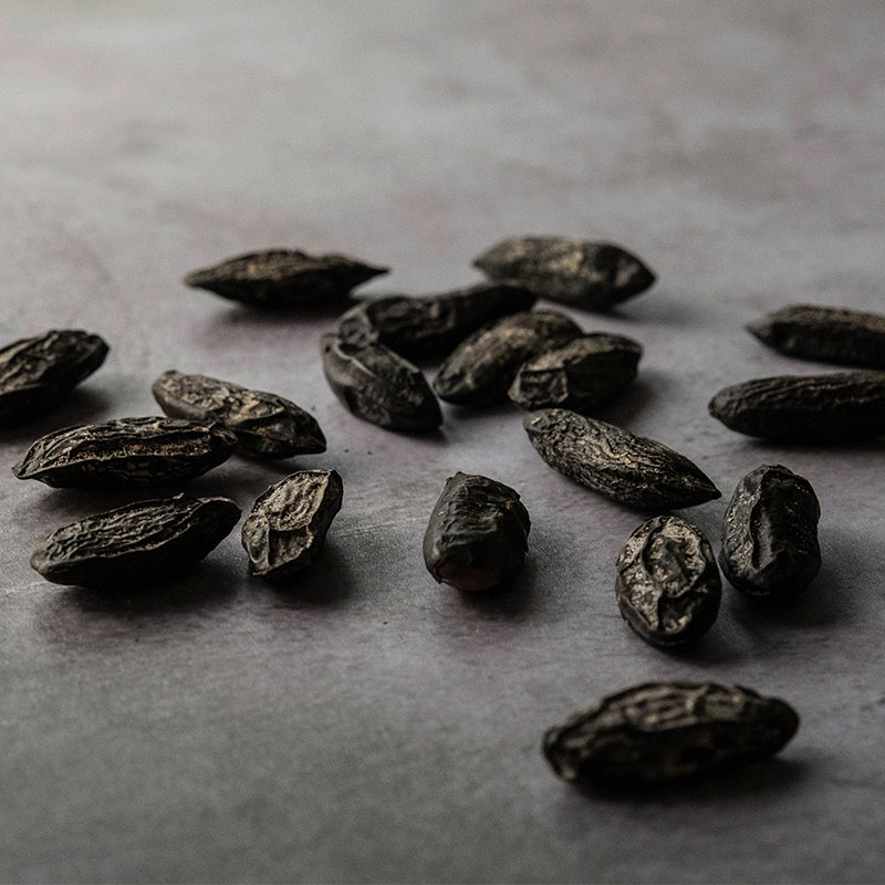 Fève Tonka-100g TONKA100 15-1065P Tille