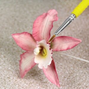 Pinceaux fins PME pour décoration de gâteaux | Lot de 5 CB1009 Tille