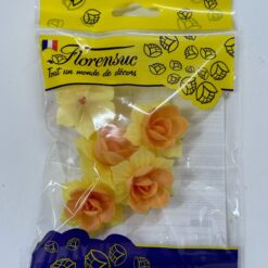 5 Jonquilles Oranges 45 mm AZYJONQO Tille