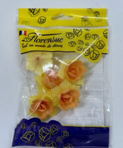 5 Jonquilles Oranges 45 mm AZYJONQO Tille