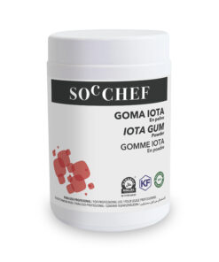 Gomme Iota 600 g Soc Chef MyTille 14-2013