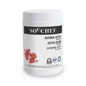 Gomme Iota 600 g Soc Chef MyTille 14-2013