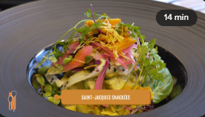 Salade de st jacques Spatules Tille