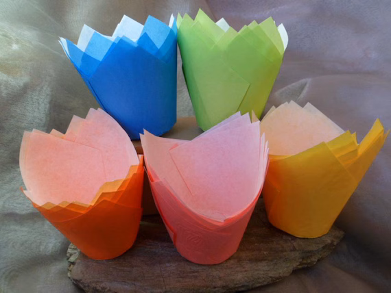 Tulip cups colorées – 250 pcs ou pack 1500