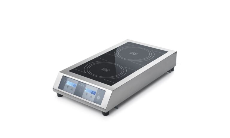 plaque induction professionnelle double