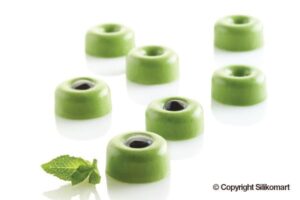 Moule silicone 35 micro pâtisseries 5ml