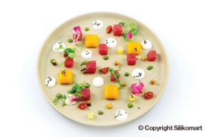 Moule silicone 35 micro pâtisseries 5ml