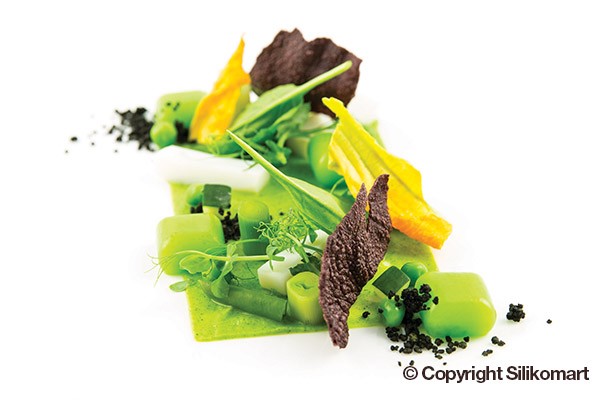 Moule silicone 35 micro pâtisseries 5ml