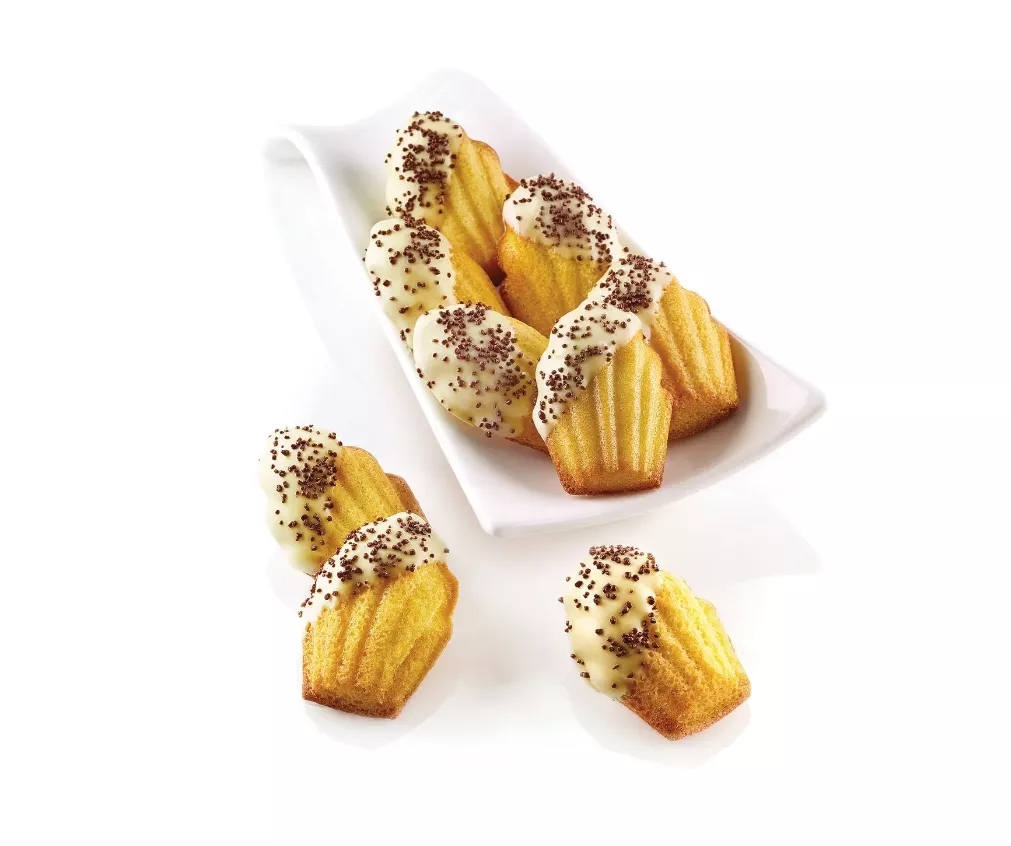 moule en silicone forme madeleines